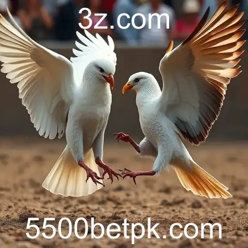 Security and Trust 5500bet - International Licenses and Certifications